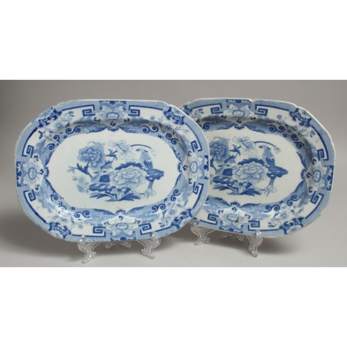 1180 - A PAIR OF IRONSTONE BLUE AND WHITE PLATES.