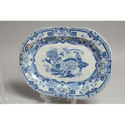 1180 - A PAIR OF IRONSTONE BLUE AND WHITE PLATES.