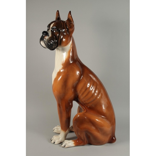 1203 - A LARGE CONTINENTAL POTTERY BOXER DOG. 32ins high.