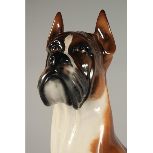 1203 - A LARGE CONTINENTAL POTTERY BOXER DOG. 32ins high.