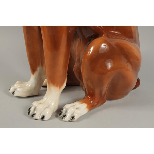 1203 - A LARGE CONTINENTAL POTTERY BOXER DOG. 32ins high.