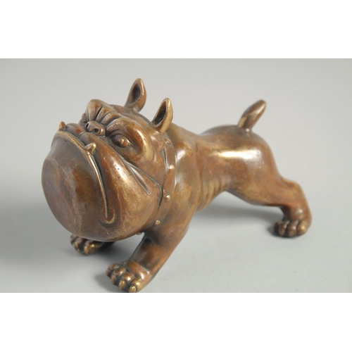 1241 - A BRONZE BULLDOG. 13cm long.