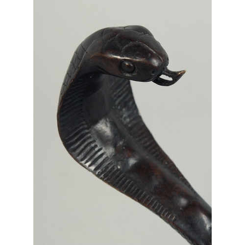 1251 - A BRONZE COBRA 7ins high.