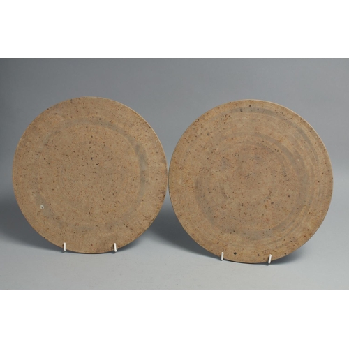 1261 - A PAIR OF CHINESE BLUE GLAZED CIRCULAR PLAQUES, one carved with a dragon, the other with an exotic b... 