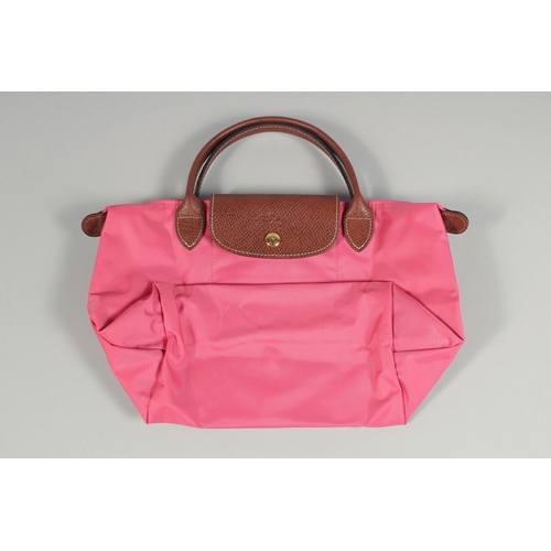 1540 - A LONGCHAMP BAG 7ins x 3.5ins with two handles