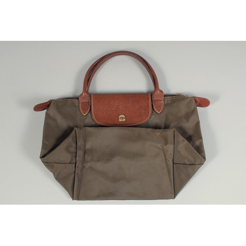 1541 - A LONGCHAMP BAG 7ins x 3.5ins with two handles.