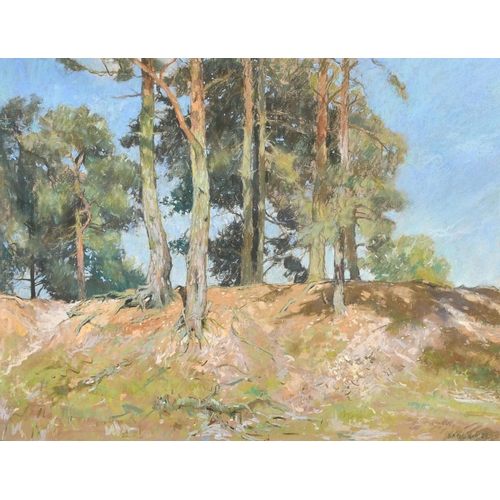 118 - Barry Peckham (20th Century), 'Pines', a landscape with Pine trees on a hill, pastel, signed and dat... 