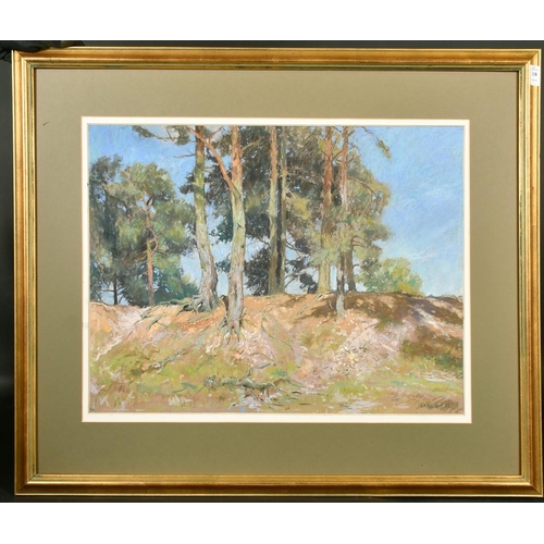 118 - Barry Peckham (20th Century), 'Pines', a landscape with Pine trees on a hill, pastel, signed and dat... 