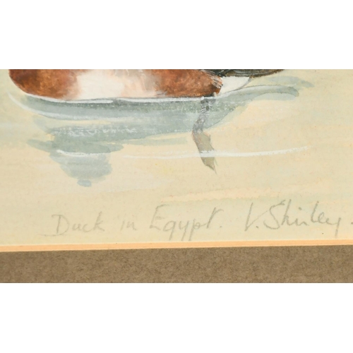 182 - Valerie Shirley, 'Duck in Egypt', a study of different ducks, watercolour, signed and inscribed, duc... 