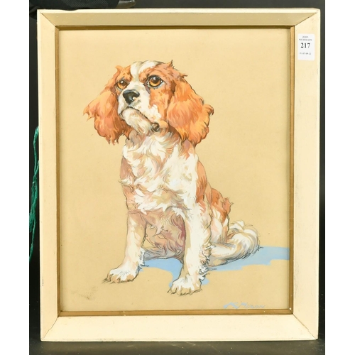 217 - Kay Nixon (1894-1988) British, a study of a King Charles Spaniel, watercolour and charcoal, signed, ... 