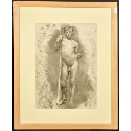 239 - Attributed to Lucy Kemp-Welch (1869-1958) British, a charcoal study of a standing male nude, 23