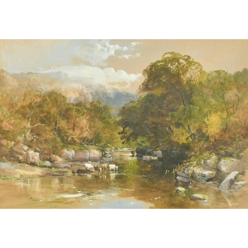 Lot 246       
