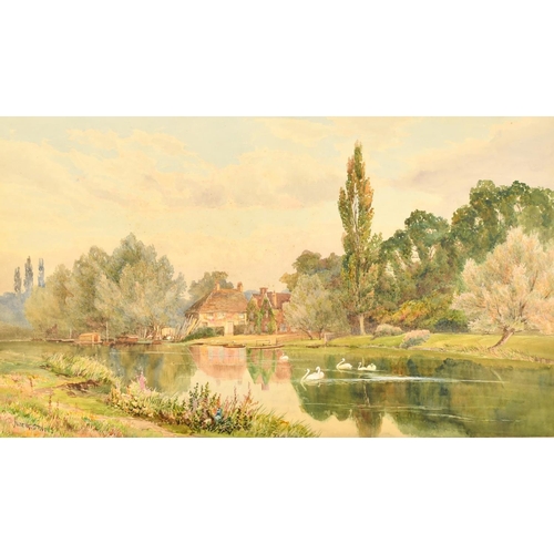 Lot 247       