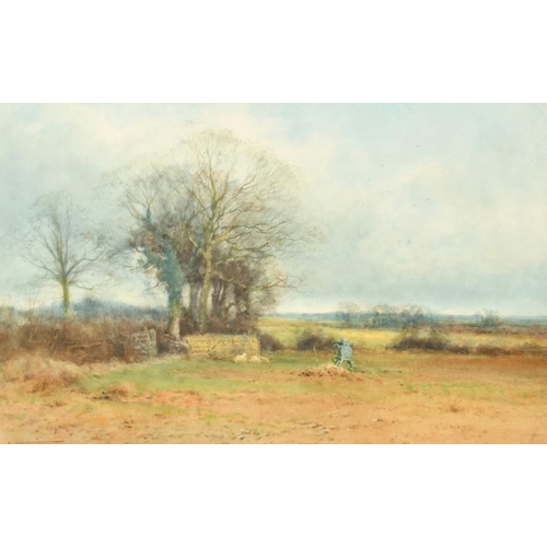 Lot 248       