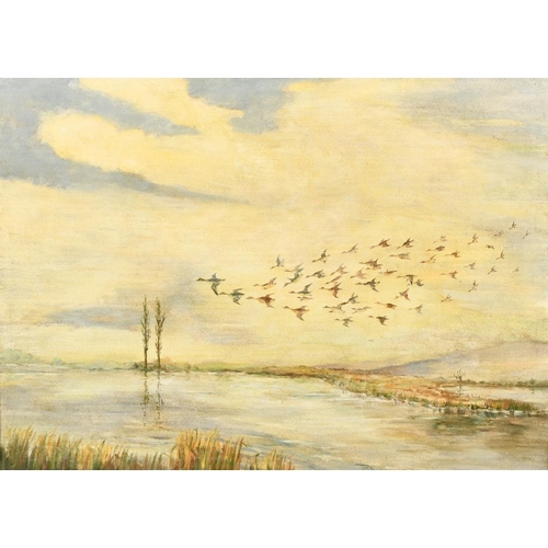 Lot 289       