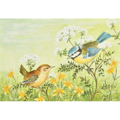 63 - Ella Bruce (20th Century) A Wren and Tit on flowers, watercolour, signed in pencil, 6.75