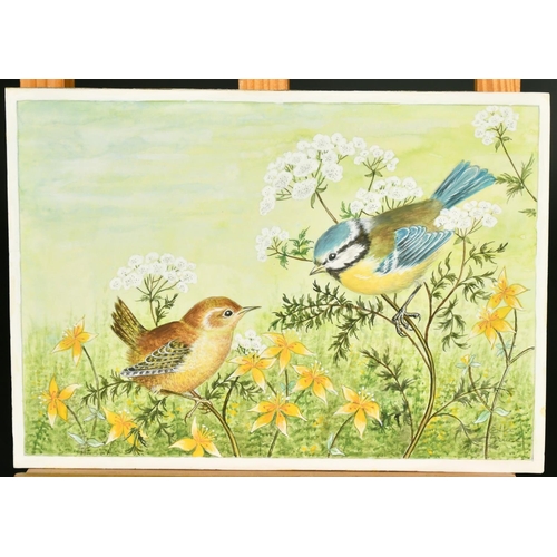 63 - Ella Bruce (20th Century) A Wren and Tit on flowers, watercolour, signed in pencil, 6.75