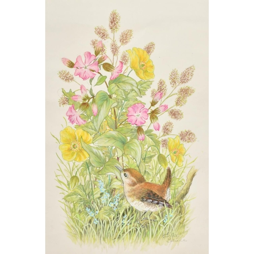 64 - Ella Bruce (20th Century) A Wren with flowers, watercolour, signed in pencil, 11.5