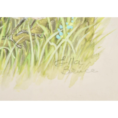 64 - Ella Bruce (20th Century) A Wren with flowers, watercolour, signed in pencil, 11.5