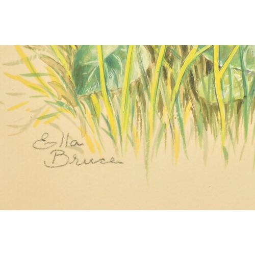 66 - Ella Bruce (20th Century) Squirrel in flowers, watercolour, signed in pencil 10