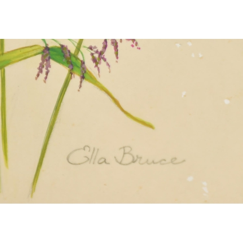 68 - Ella Bruce (20th Century) Baby Blue Tit in grass, watercolour, signed in pencil, 13