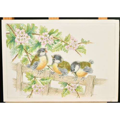 69 - Ella Bruce (20th Century) Three baby Tits with pink blossom, watercolour, signed in pencil, 7