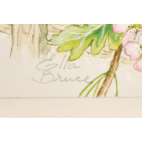 69 - Ella Bruce (20th Century) Three baby Tits with pink blossom, watercolour, signed in pencil, 7