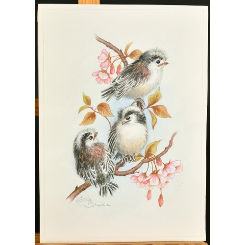 72 - Ella Bruce (20th Century) Three baby birds on Cherry blossom, watercolour, signed in pencil, 9.5