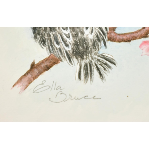 72 - Ella Bruce (20th Century) Three baby birds on Cherry blossom, watercolour, signed in pencil, 9.5