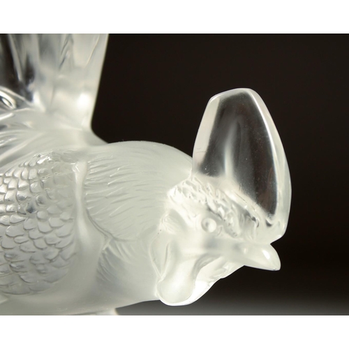 1079 - A GOOD LALIQUE COCKEREL Signed, Lalique, France.