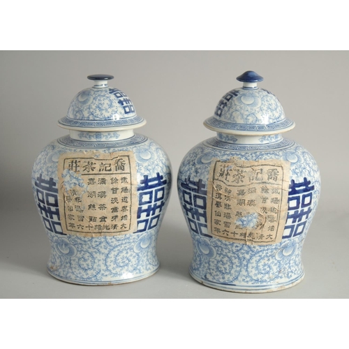 1220 - A PAIR OF CHINESE BLUE AND WHITE GINGER JARS AND COVERS. 12ins high.