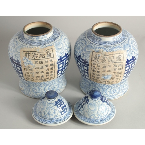 1220 - A PAIR OF CHINESE BLUE AND WHITE GINGER JARS AND COVERS. 12ins high.