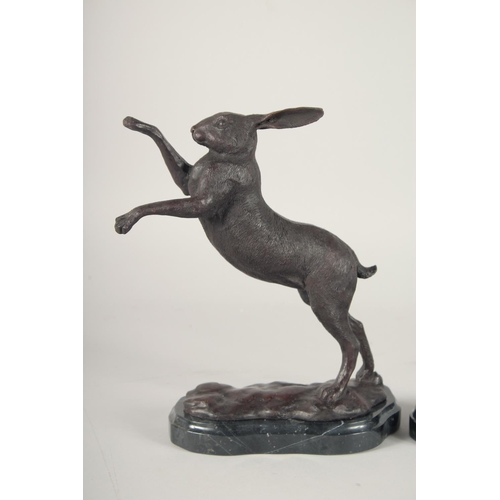 1293 - A PAIR OF BRONZE FIGHTING HARES on marble bases. 4ft 4ins high.