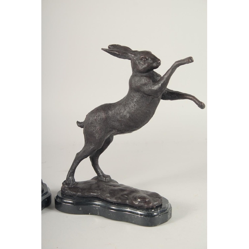 1293 - A PAIR OF BRONZE FIGHTING HARES on marble bases. 4ft 4ins high.