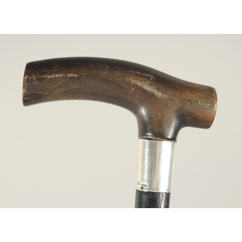 1317 - A RHINO HANDLE WALKING STICK with silver band. 33ins long.