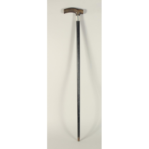 1317 - A RHINO HANDLE WALKING STICK with silver band. 33ins long.