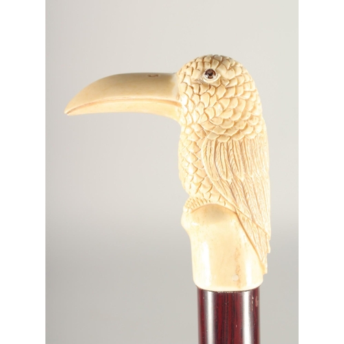 1364 - A CARVED BONE HANDLE WALKING STICK, 'PARROT' 2ft 11ins long.