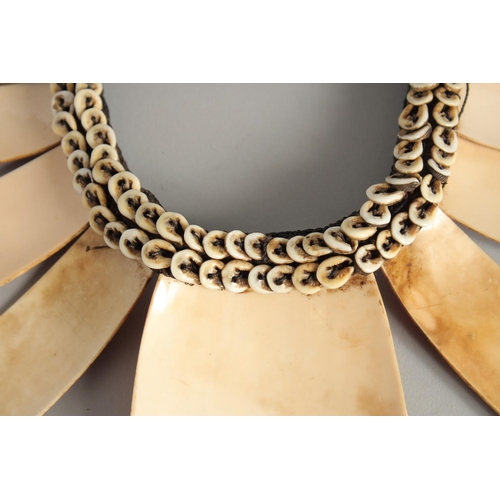 1406 - A PACIFIC ISLANDS SHELL PECKERY (NECKLACE)