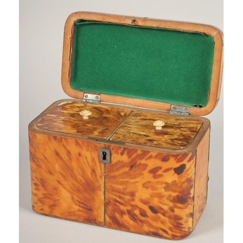 1443 - A REGENCY TORTOISESHELL TWO DIVISION TEA CADDY. 6.75ins