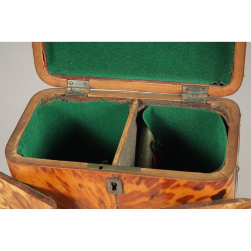 1443 - A REGENCY TORTOISESHELL TWO DIVISION TEA CADDY. 6.75ins