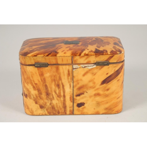 1443 - A REGENCY TORTOISESHELL TWO DIVISION TEA CADDY. 6.75ins