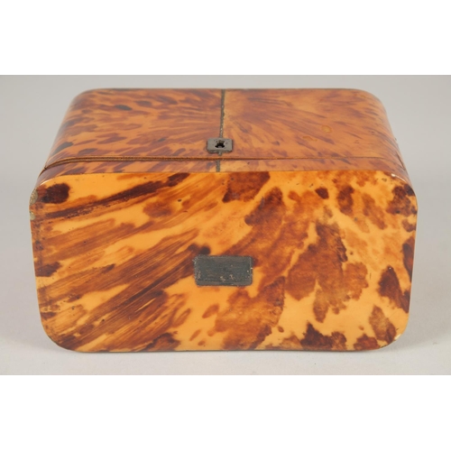 1443 - A REGENCY TORTOISESHELL TWO DIVISION TEA CADDY. 6.75ins