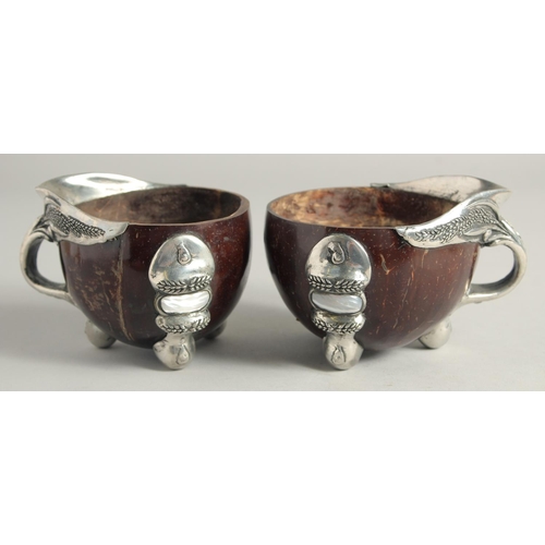 1464 - A PAIR OF SILVER MOUNTED COCONUT CUPS 4ins