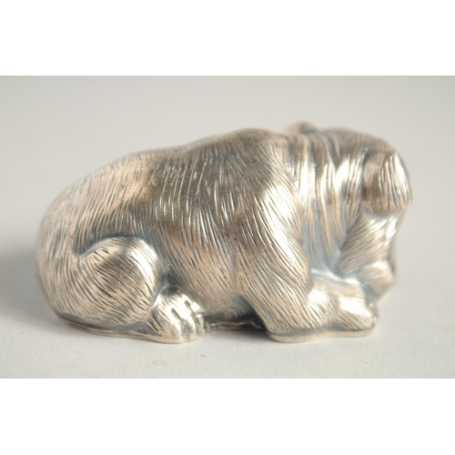 1526 - A SMALL RUSSIAN SILVER BULL DOG. 2.75ins long. Mark I. P. Head 84. Eagle, Faberge mark.