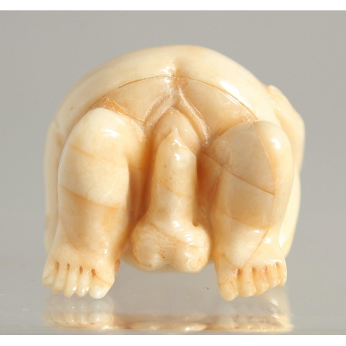 1537 - A CARVED BONE EROTIC NETSUKE. 2ins long.