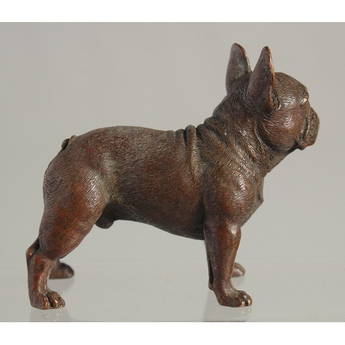 1539 - A BRONZE BULLDOG