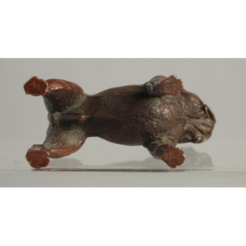 1539 - A BRONZE BULLDOG