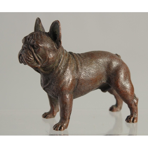 1539 - A BRONZE BULLDOG