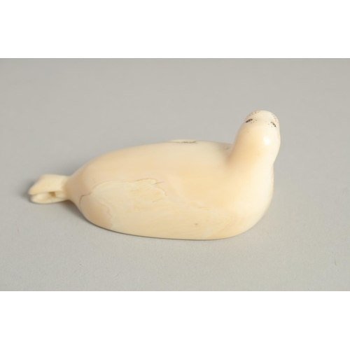 1544 - AN INUIT CARVED BONE MODEL OF A SEAL. 3ins long.