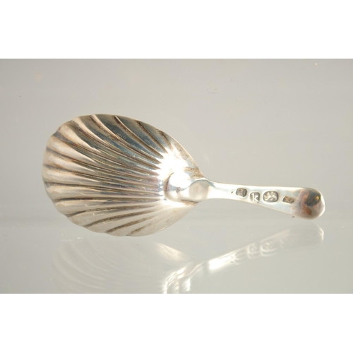 1552 - A GEORGE III SILVER SHELL BOWL CADDY SPOON. London 1785.